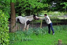 Окраина провинциального английского городка Хорли