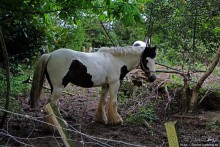 Окраина провинциального английского городка Хорли
