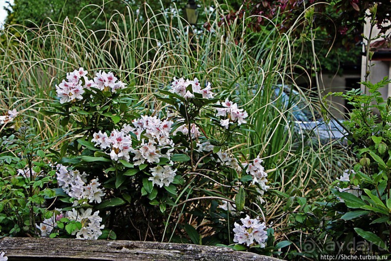 Окраина провинциального английского городка Хорли