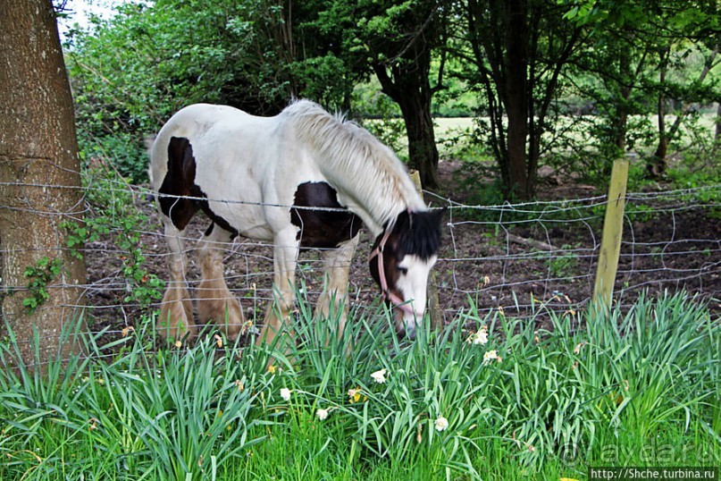 Окраина провинциального английского городка Хорли