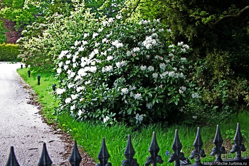 Окраина провинциального английского городка Хорли