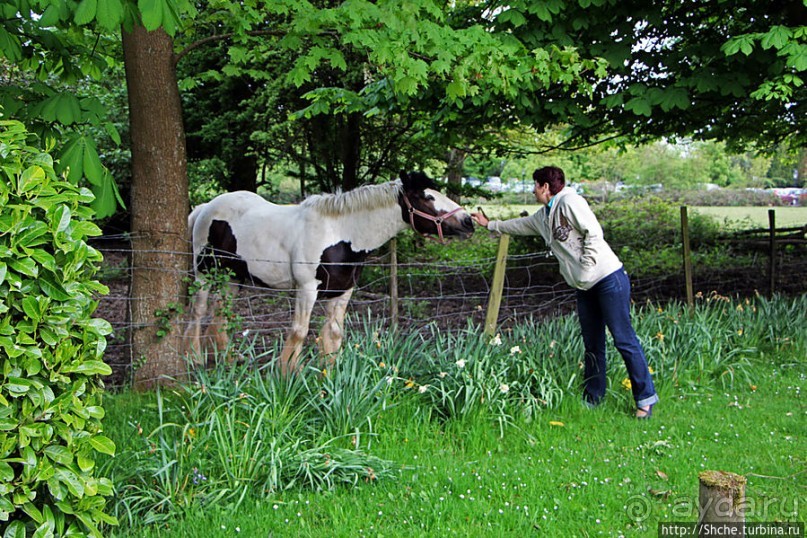 Окраина провинциального английского городка Хорли