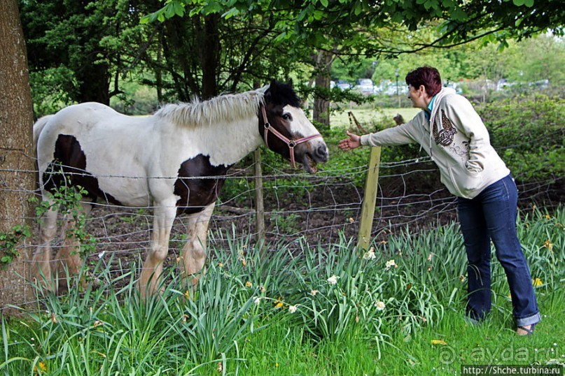 Окраина провинциального английского городка Хорли