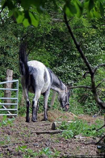 Окраина провинциального английского городка Хорли