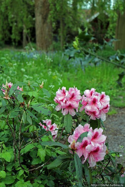 Окраина провинциального английского городка Хорли