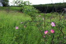 Скромный водопад в живописном месте