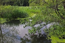 Скромный водопад в живописном месте