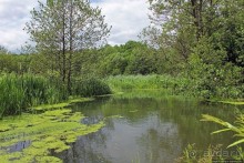 Скромный водопад в живописном месте