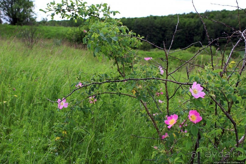 Скромный водопад в живописном месте
