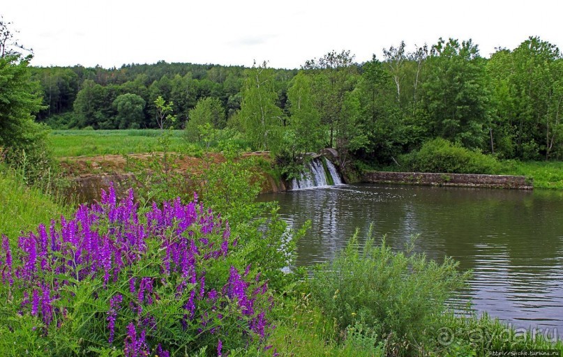Скромный водопад в живописном месте