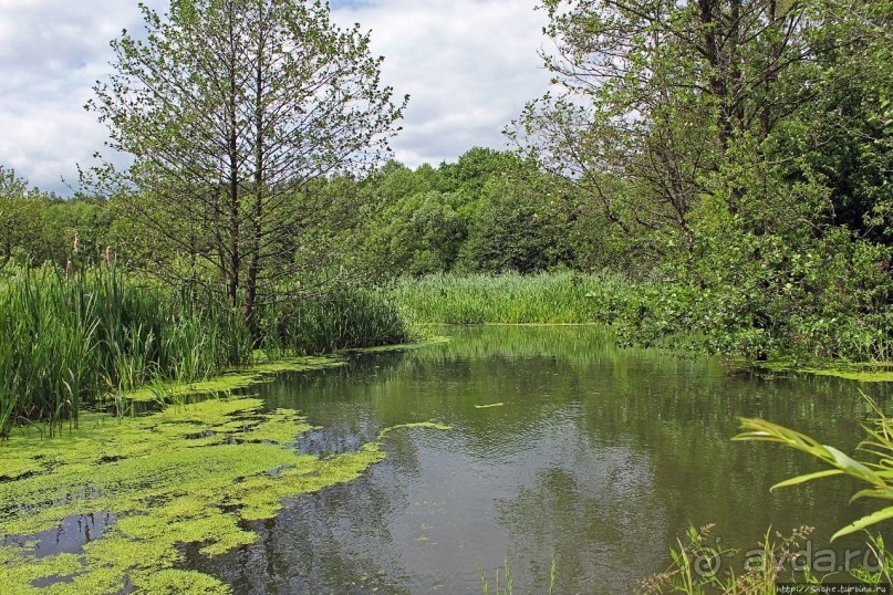 Скромный водопад в живописном месте