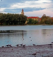 Мальме - город парков. Самый большой из них - Пилдаммс-парк