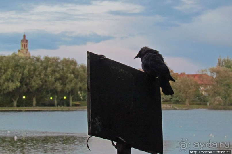 Мальме - город парков. Самый большой из них - Пилдаммс-парк