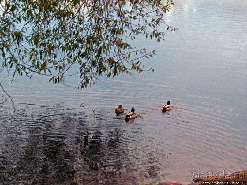Мальме - город парков. Самый большой из них - Пилдаммс-парк
