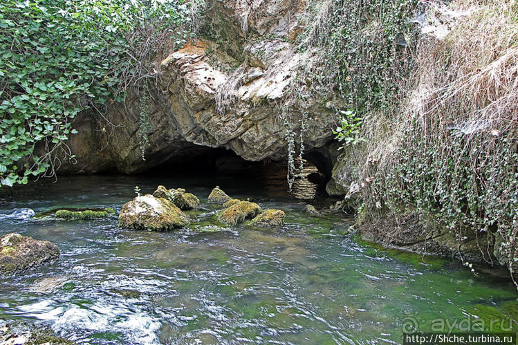 Альбом отзыва "Посещение пещеры со своей рекой"