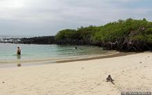 Бухта черепах (Tortuga bay) — лучшее место на о. Санта Круз