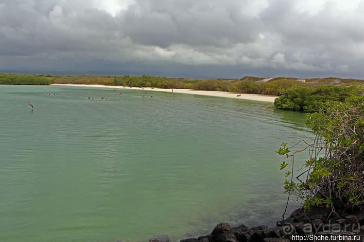 фото Пуэрто Айора
