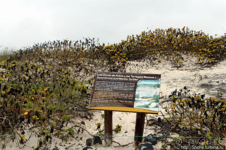 фото Пуэрто Айора