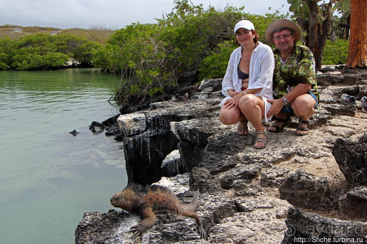 Альбом отзыва "Бухта черепах (Tortuga bay) — лучшее место на о. Санта Круз"