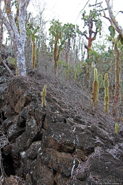 фото Пуэрто Айора
