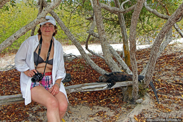 фото Пуэрто Айора