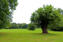 Бад-Мускау — крупнейший английский парк в материковой Европе