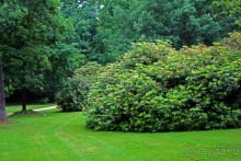 Бад-Мускау — крупнейший английский парк в материковой Европе