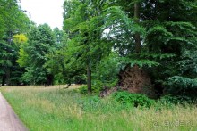 Бад-Мускау — крупнейший английский парк в материковой Европе