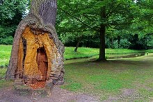 Бад-Мускау — крупнейший английский парк в материковой Европе