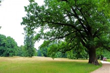 Бад-Мускау — крупнейший английский парк в материковой Европе