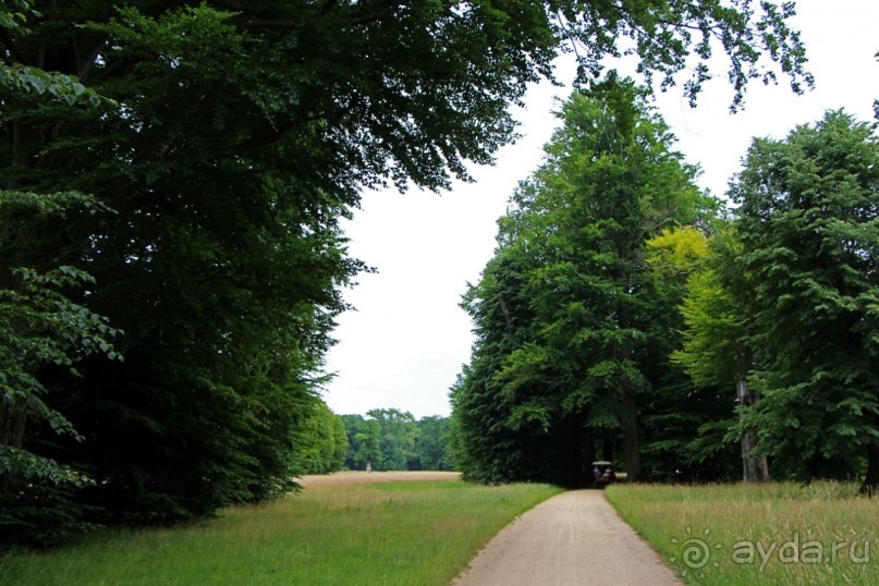 Бад-Мускау — крупнейший английский парк в материковой Европе