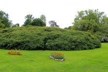 Бад-Мускау — крупнейший английский парк в материковой Европе