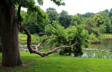 Бад-Мускау — крупнейший английский парк в материковой Европе