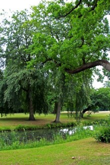 Бад-Мускау — крупнейший английский парк в материковой Европе