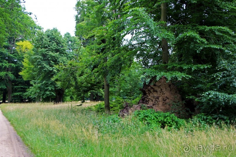 Бад-Мускау — крупнейший английский парк в материковой Европе