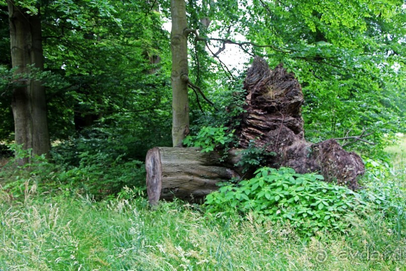 Бад-Мускау — крупнейший английский парк в материковой Европе