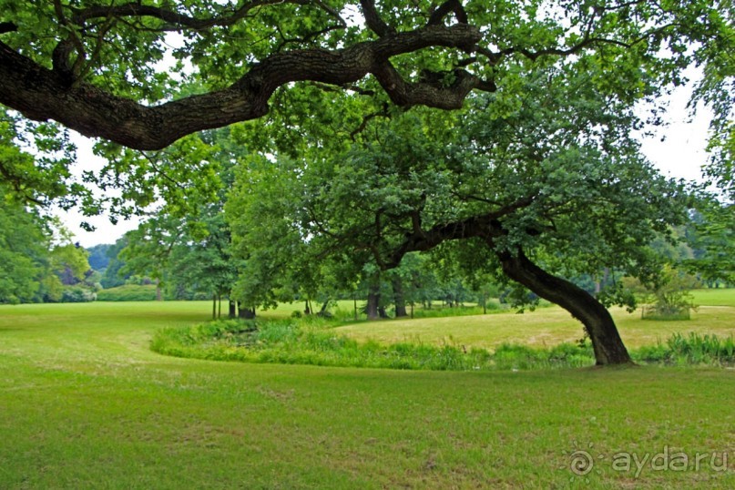 Бад-Мускау — крупнейший английский парк в материковой Европе