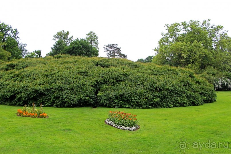 Бад-Мускау — крупнейший английский парк в материковой Европе