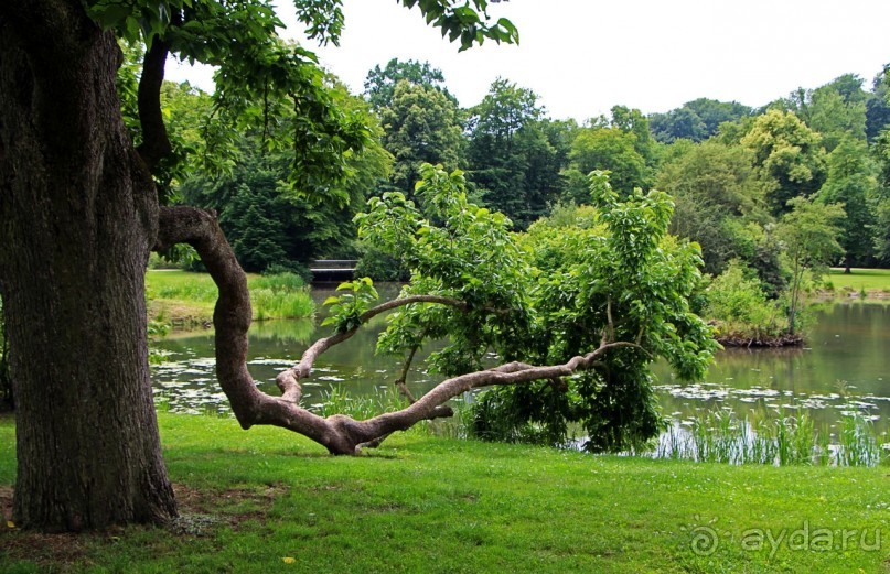Бад-Мускау — крупнейший английский парк в материковой Европе
