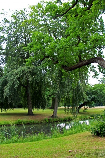 Бад-Мускау — крупнейший английский парк в материковой Европе