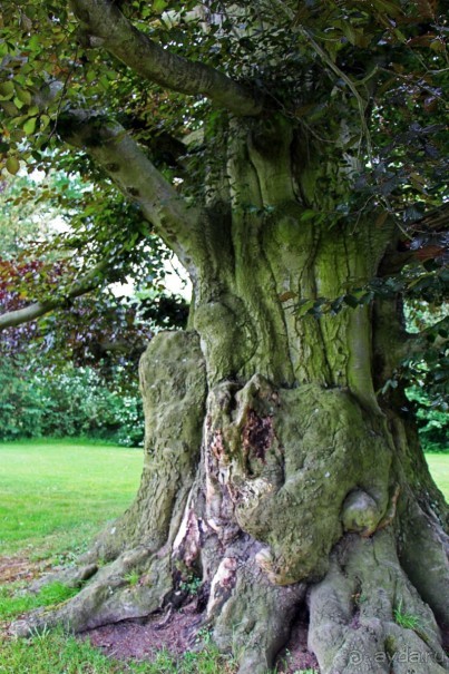 Бад-Мускау — крупнейший английский парк в материковой Европе