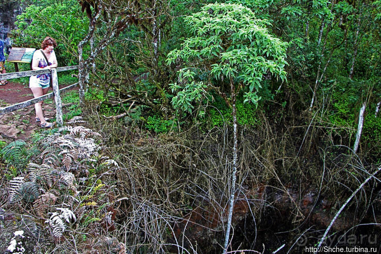 Los Gemelos-чудо природы. О вреде легкодоступности для чуда