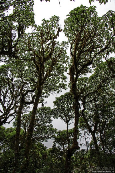 Los Gemelos-чудо природы. О вреде легкодоступности для чуда