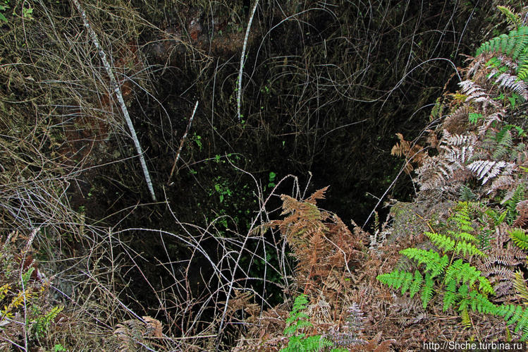 Los Gemelos-чудо природы. О вреде легкодоступности для чуда