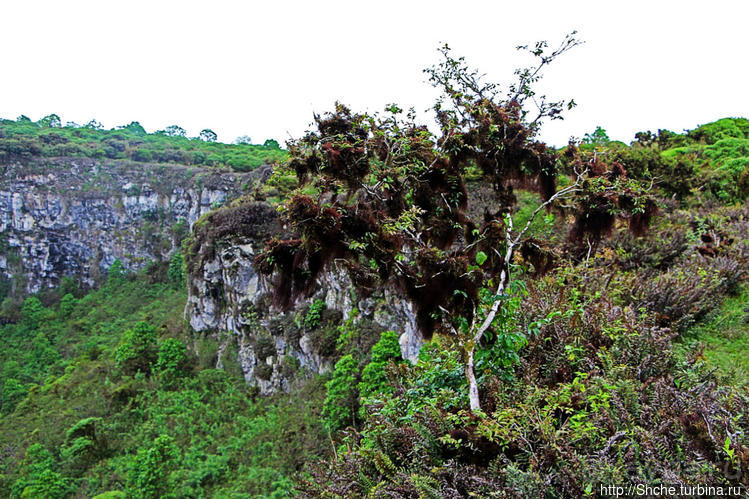 Los Gemelos-чудо природы. О вреде легкодоступности для чуда