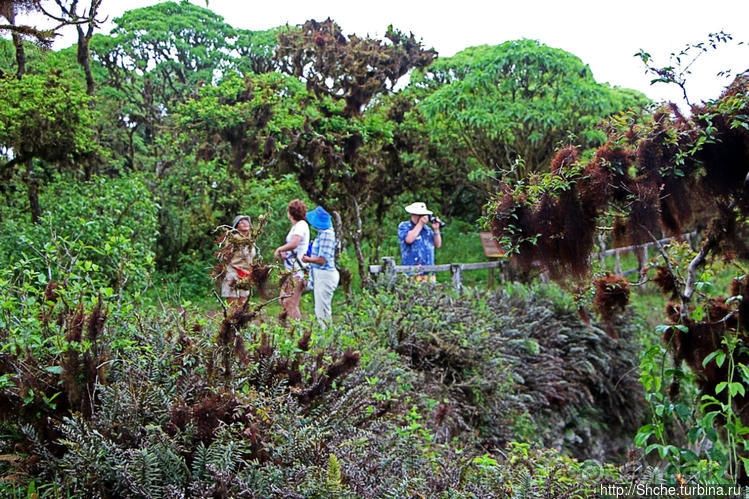 Los Gemelos-чудо природы. О вреде легкодоступности для чуда