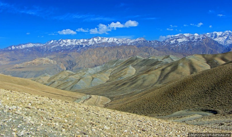 Все неприятности начинаются со слов: "Я знаю короткий путь"