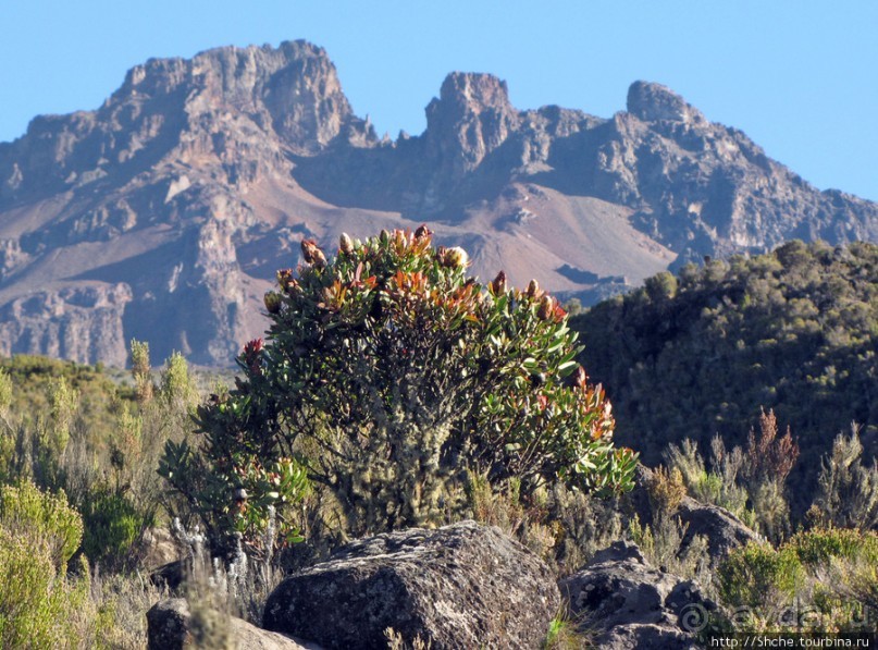 Kilimanjaro — HAKUNA MATATA, или Килиманджаро для "чайников"