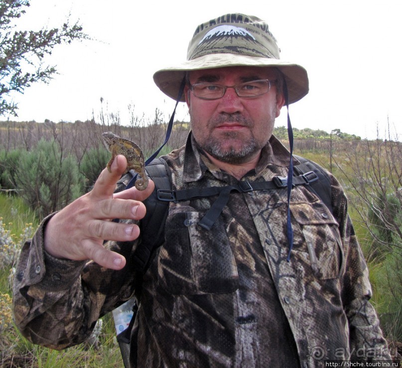 Kilimanjaro — HAKUNA MATATA, или Килиманджаро для "чайников"