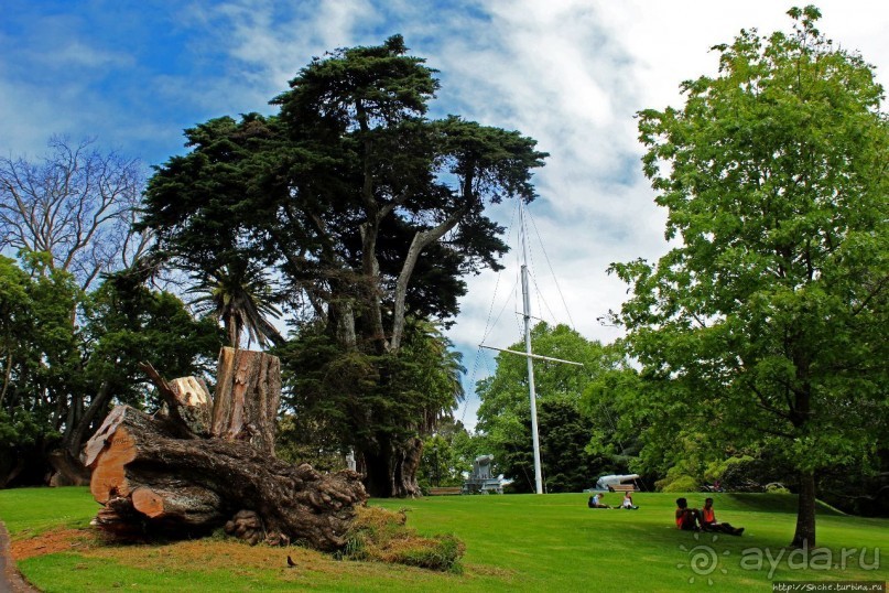 Альберт Парк — на мой вкус, самое интересное место в Окленде